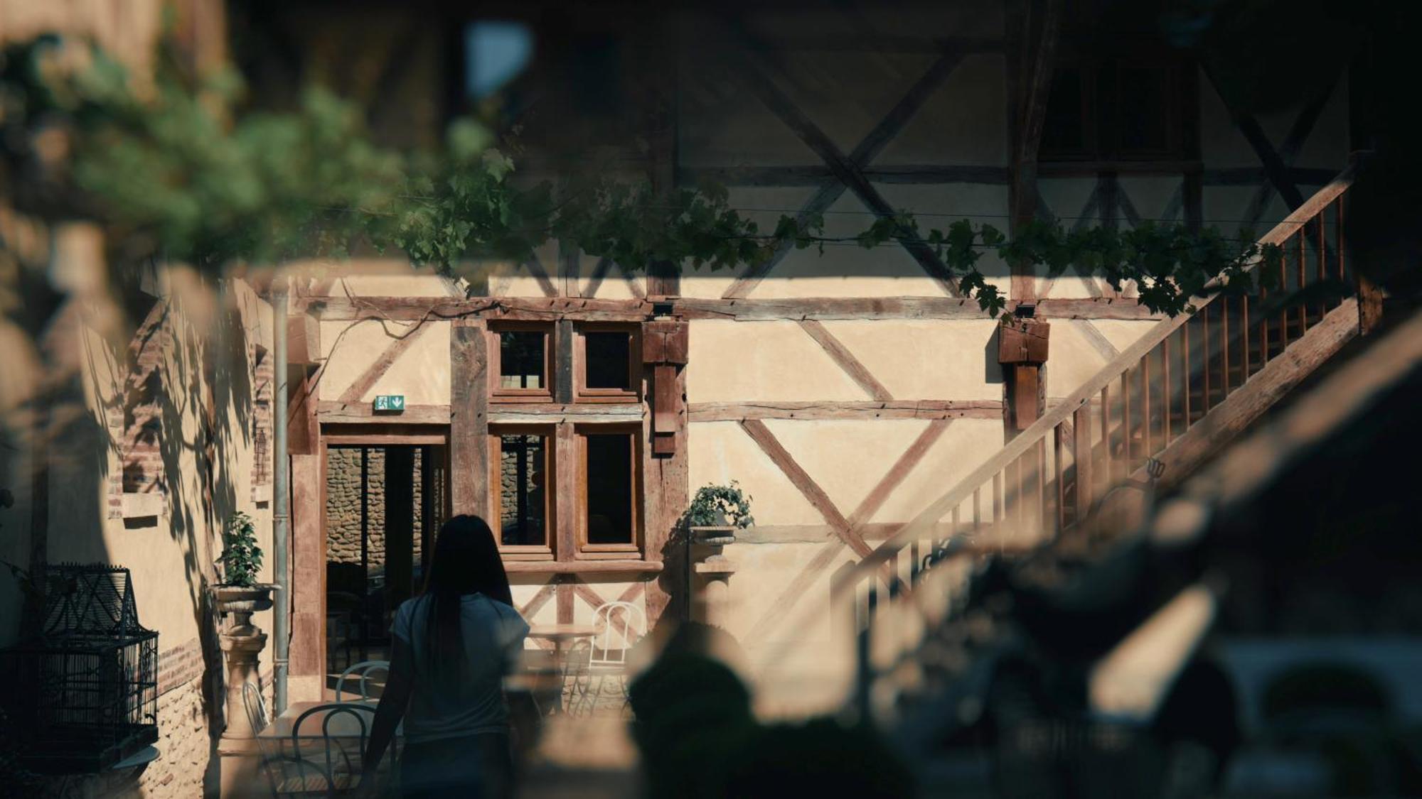 Le Champ Des Oiseaux Hotel & Spa Troyes Zewnętrze zdjęcie